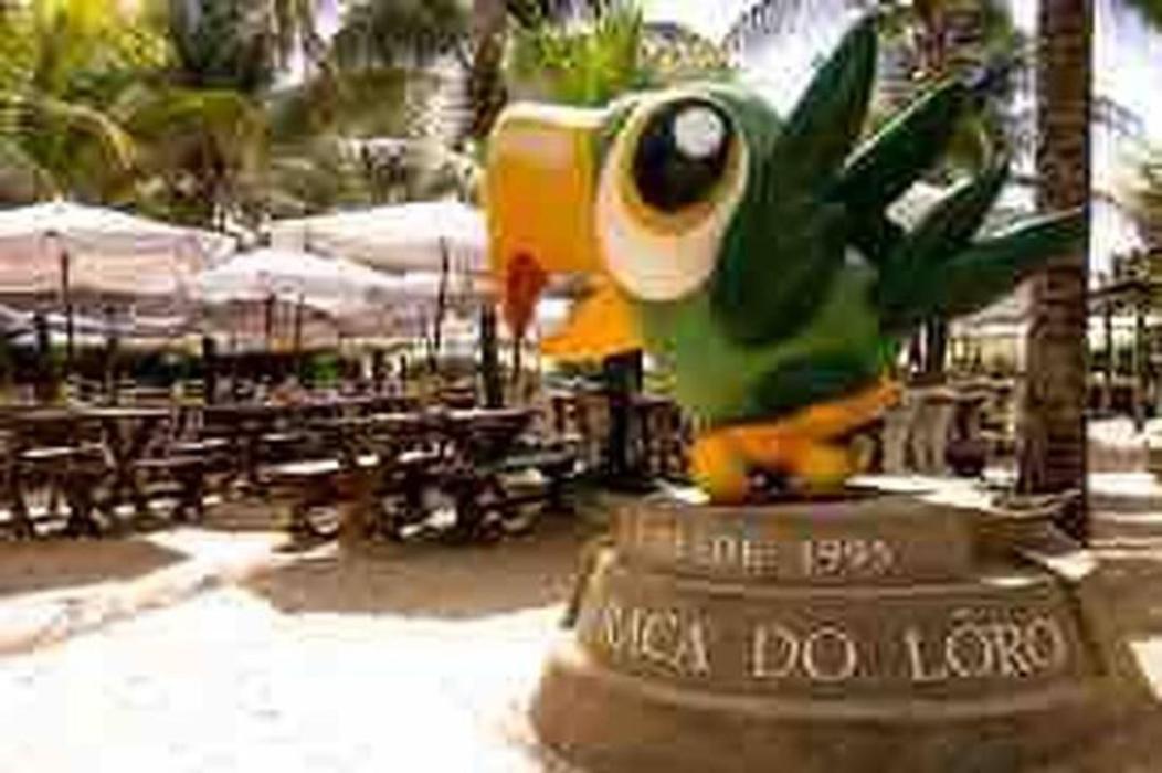 Pe Na Areia Vista Total Mar - O Paraiso E Aqui! Salvador Exterior foto
